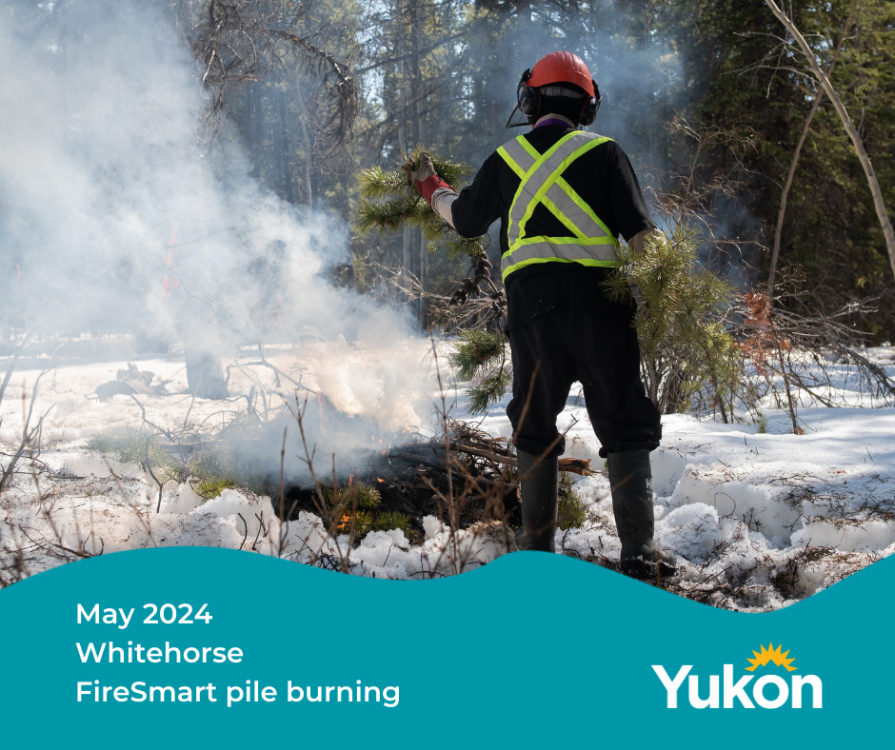 Pile burning around Mt. Sima road