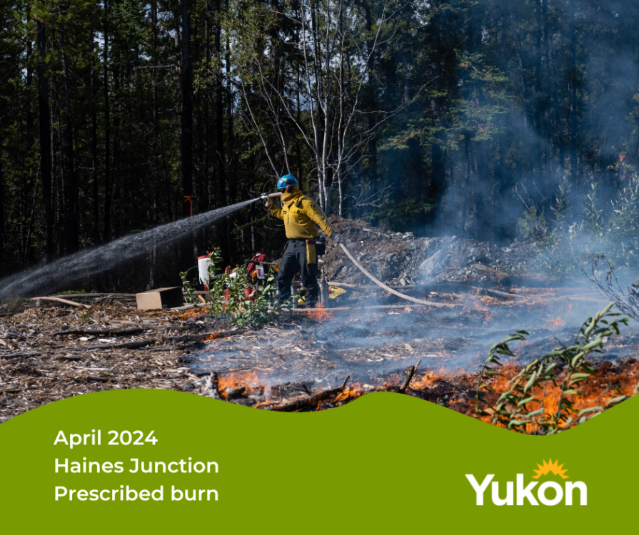 Prescribed burning in Mayo