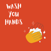 wash your hands