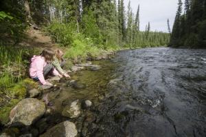 Creek at Big Creek Campground, Yukon