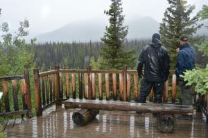 viewing deck at Spruce Beetle Trail, Yukon.