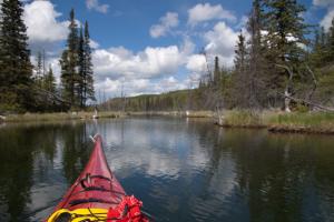 Sea kayaking the beaver ponds at Snafu Lake Campground, Yukon.