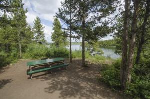 Campsite in open pine forest overlooking the lake, Tarfu Lake Campground, Yukon