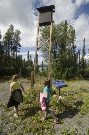 Children by the bat house at Squanga Lake Campground, Yukon